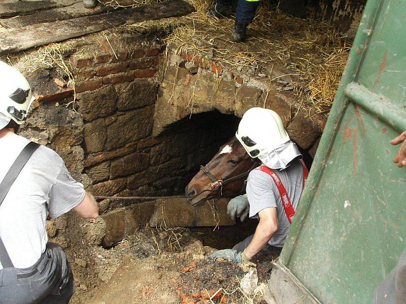 Hasiči zachraňovali v Hynčině u Zábřehu koně