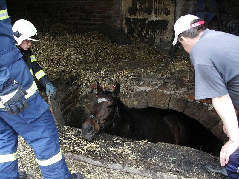 Hasiči zachraňovali v Hynčině u Zábřehu koně