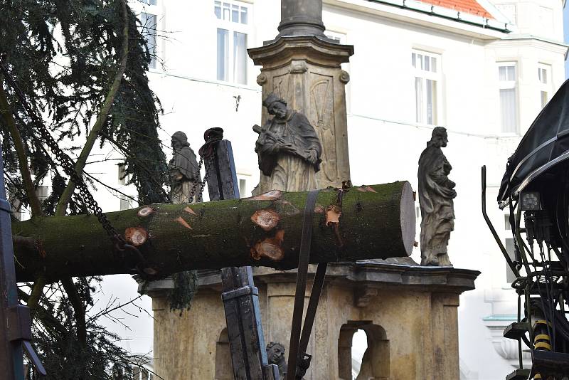 Kácení, převoz a usazování vánočního stromu v Šumperku.