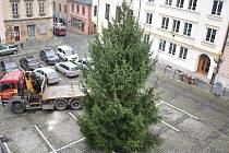 Vánoční strom 16.listopadu 2022 u šumperské radnice.