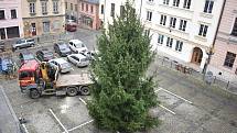 Vánoční strom 16.listopadu 2022 u šumperské radnice.