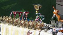 V Loučné nad Desnou se 1. října konal šestý ročník soutěže Loučenská psí superstar