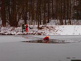 Hasiči ze Zábřehu cvičili záchranu tonoucího ze zamrzlé vodní nádže Nemilský Bagr.