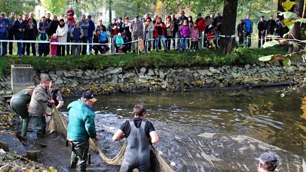 Pivovarské rybníky vydaly svá tajemství