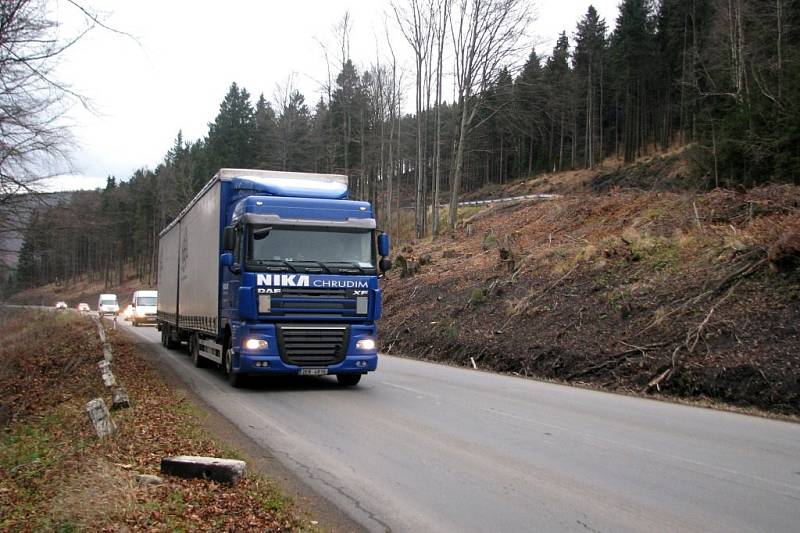 Dřevorubci vykáceli podél silnice na jižní straně Červenohorského sedla kvůli její rekonstrukci několik tisíc stromů.