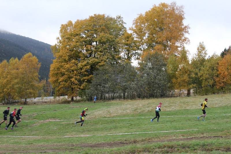 Extrémní překážkový závod Spartan Race na Dolní Moravě.