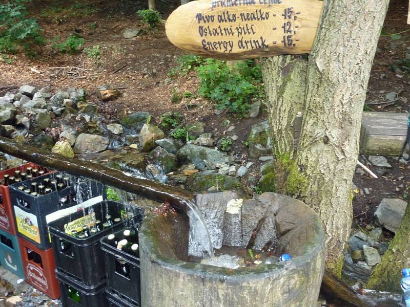 Samoobslužný lesní bar na stezce nad Horní Lipovou v Rychlebech.