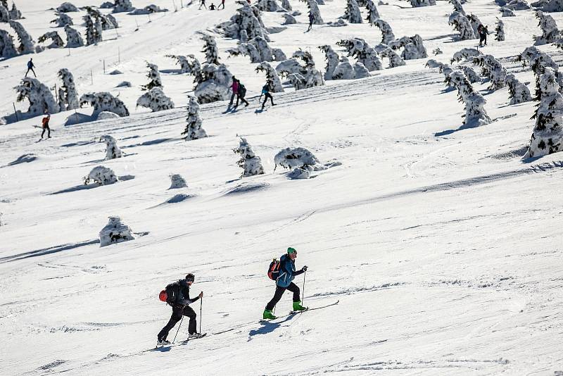 Skialpinismus. Ilustrační foto