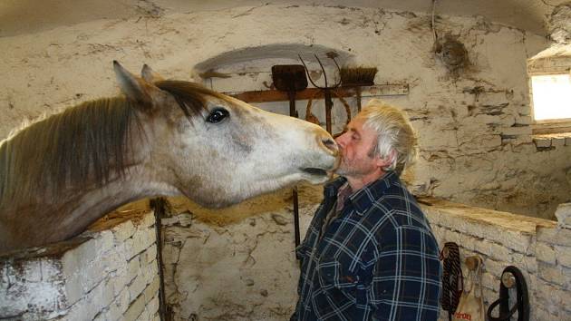 Azyl Ostrov naděje se v Bílém Potoce u Javorníka stará o vysloužilé koně.