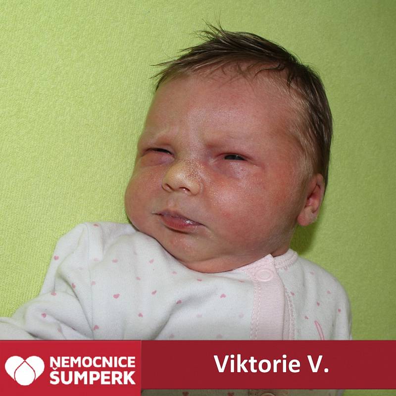 Viktorie V., Šumperk