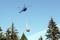Transport vyrubané kleče v Jeseníkách zajišťuje vrtulník. Září 2020