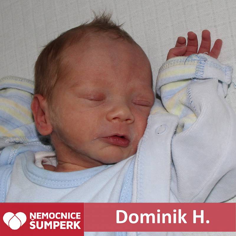 Dominik Hanták 4. 4. 2018 Šumperk