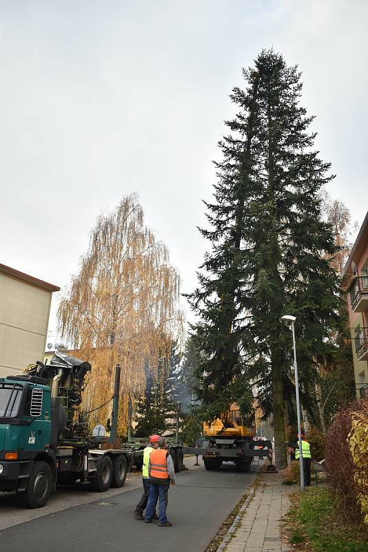 Kácení, převoz a usazování vánočního stromu v Šumperku.