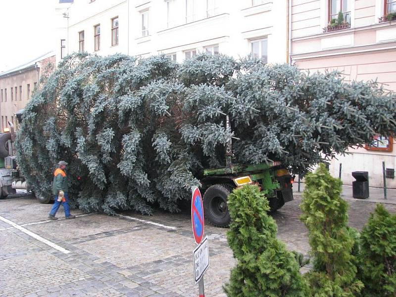 Příjezd a instalace vánočního stromu, který bude tradičně zdobit náměstí u šumperské radnice