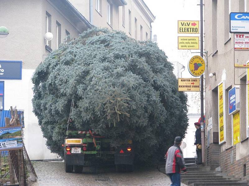 Příjezd a instalace vánočního stromu, který bude tradičně zdobit náměstí u šumperské radnice