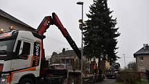 Kácení vánočního stromu v Postřelmově pro Olomouc - 22. 11. 2020