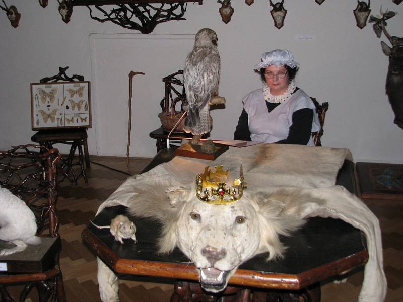 Průvodkyně v kostýmech pohádkových postav provázely v pátek 28 srpna večer návštěvníky expozicemi lovecko-lesnického muzea na zámku v Úsově.