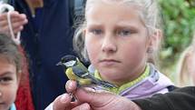 Evropský festival ptactva na Třemešských rybnících u Šumperku