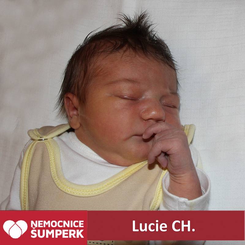 Lucie CH., Vikýřovice