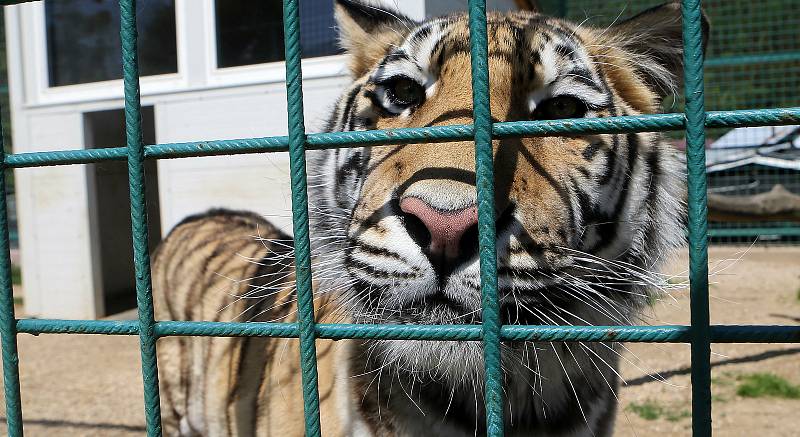 Fauna park Lipová lázně. 21. května 2020