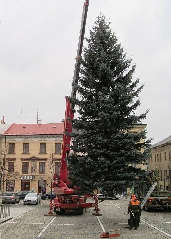 Náměstí Míru v Šumperku již zdobí vánoční strom.