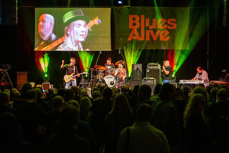 Mezinárodní festival bluesové hudby Blues Alive, 12. listopadu 2021 v Šumperku. The Muddlers.