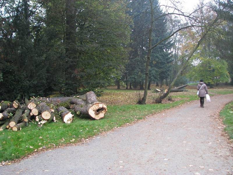 V Jiráskových sadech v Šumperku začala obnova zeleně.