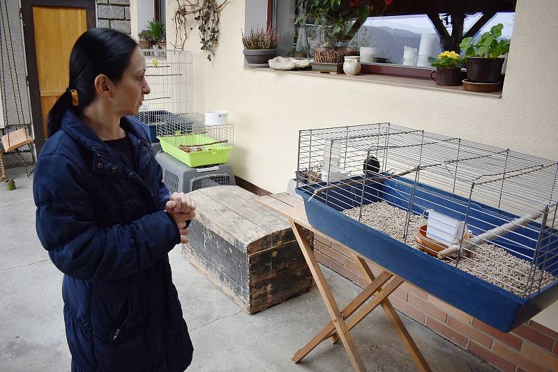 Záchranná stanice pro volně žijící zvířata v Rudě nad Moravou.