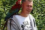 Setkání majitelů volně létajících papoušků na přehradě Krásné u Šumperku.