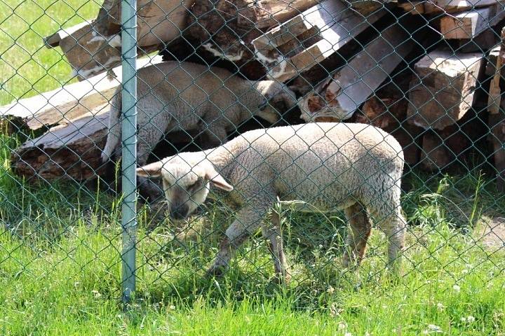  Hamr, Val a Vlkov v jižních Čechách