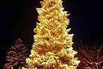 Vánoční strom v Černé Vodě na Jesenicku.
