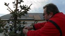 Zábřežský vánoční strom má od úterý 2. prosince světelnou výzdobu.