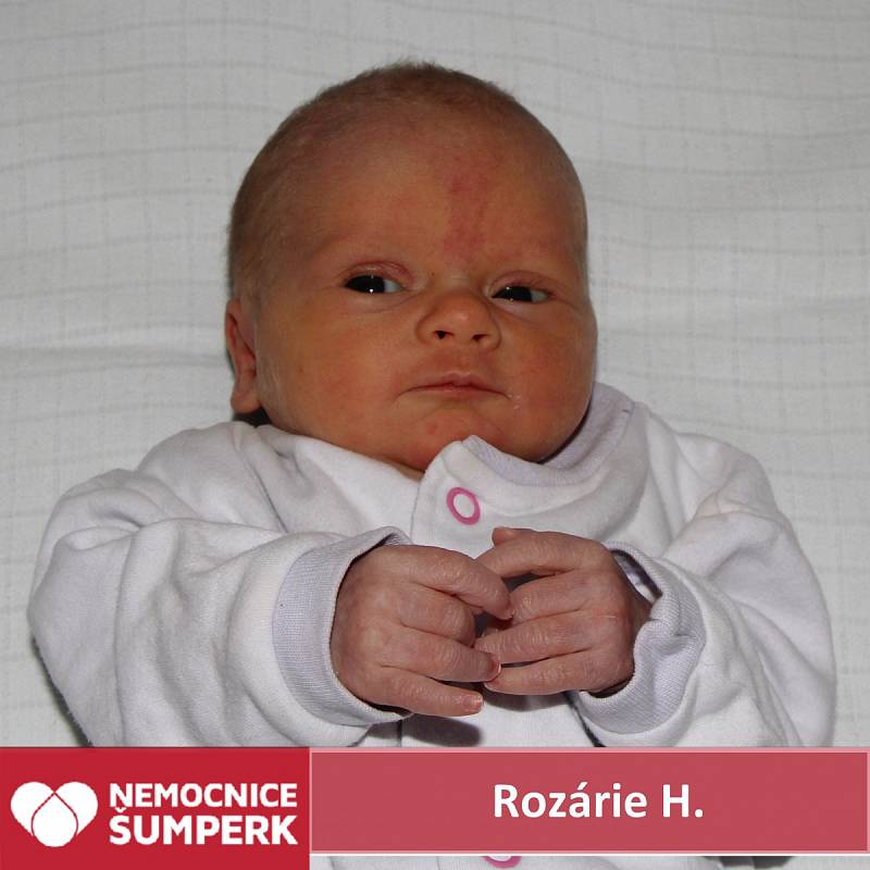 Rozárie Hlochová  26. 2. 2018 Jestřebí