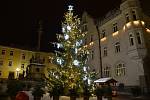 Vánoční strom v Šumperku.