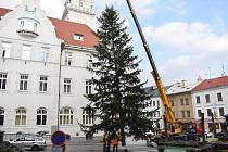Kácení, převoz a usazování vánočního stromu v Šumperku.
