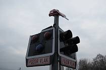 Poškození světelné signalizace u železničního přejezdu mezi obcemi Bludov a Sudkov