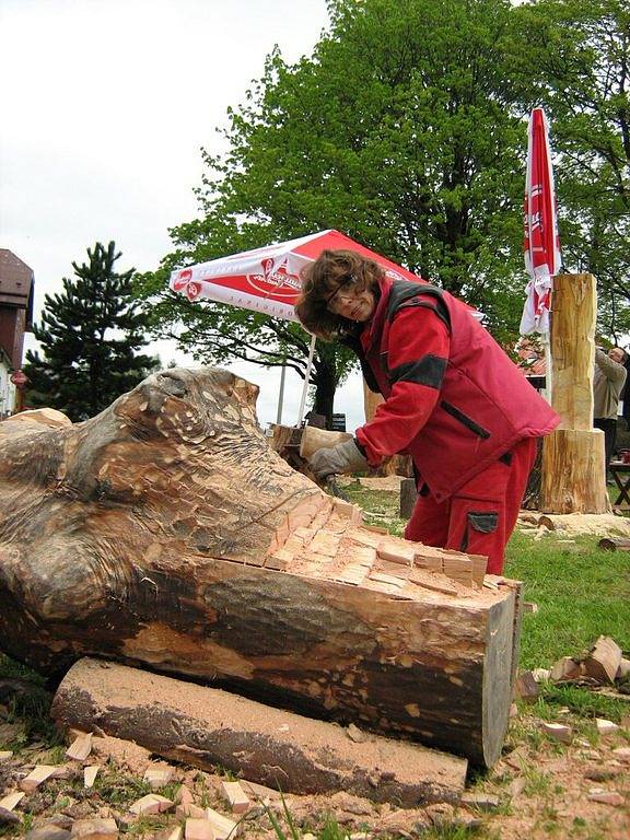 Jediná žena Jana Vytřasová si vzala do parády nejtvrdší dřevo. Z unikátního jasanu vytváří lavici s elfy.