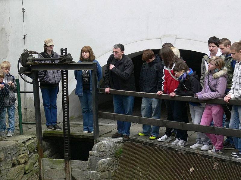 Školáci z Velkých Losin se celý den učili v papírně