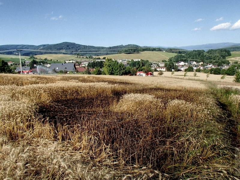 Pole s obilím hořelo v úterý 23. července vpodvečer v Šumperku – Temenici. Požár likvidovaly čtyři jednotky hasičů.