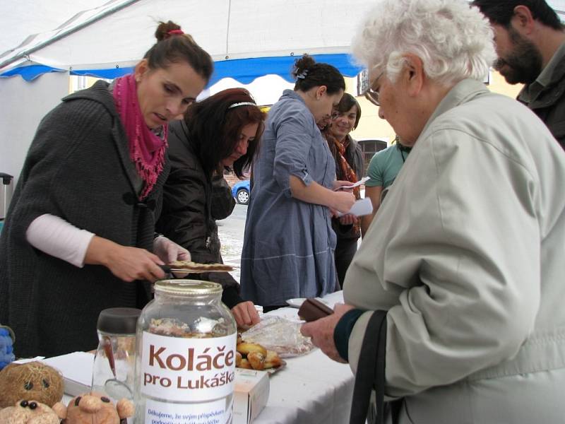 Devatenáct druhů koláčů dodali dobrovolníci z řad jednotlivců i kolektivů na akci Pečeme koláče pro Lukáška, kterou pořádala Charita Zábřeh.