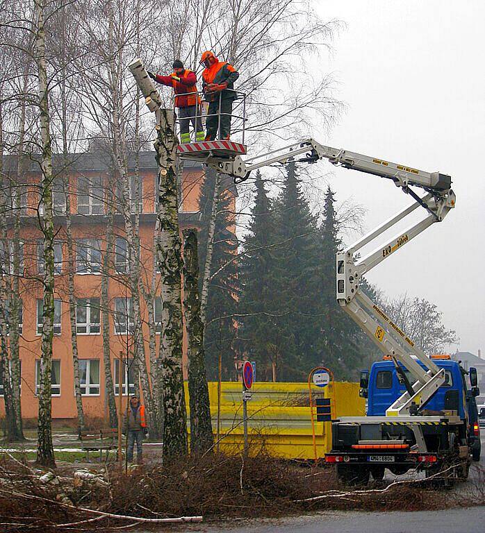Břízy na sídlišti Sevrovýchod v Zábřehu jsou už přestárlé a padají z nich větve. Na ulici mezi kotelnou a základní školou je už nahradilo nové stromořadí z jiných listnatých stromů.