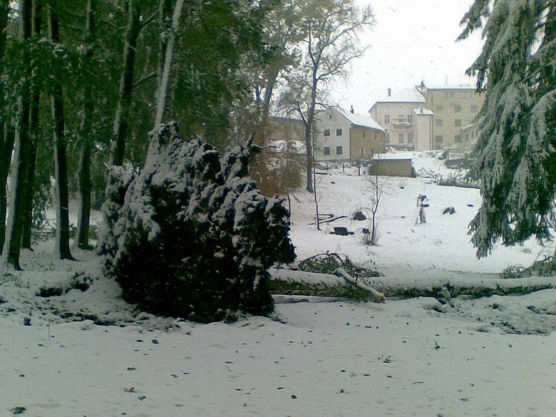 Sněhem poničené stromy v parku ve Štítech očima čtenářky Deníku