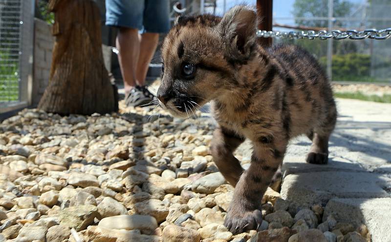 Fauna park Lipová lázně. 21. května 2020