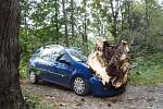 Vítr ulomil ve Skorošicích větev lípy a ta spadla na auto.