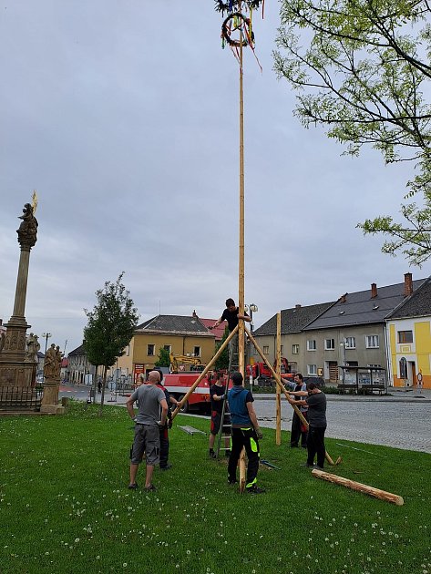Pokácenou májku v Lošticích znovu postavili na druhý den místní dobrovolní hasiči.