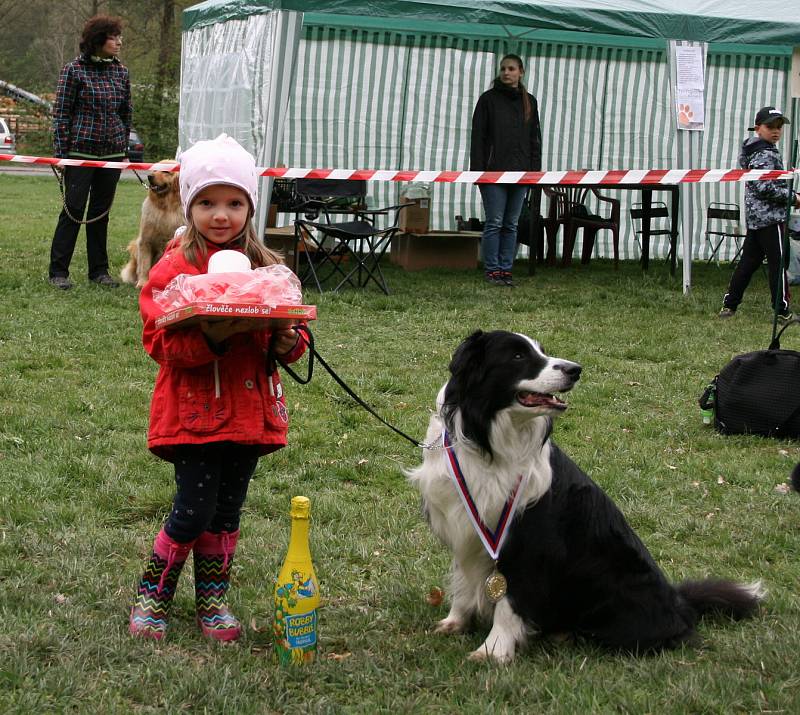 Hoštějnský hafan 2019