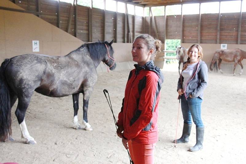 Nezisková společnost Ryzáček ve Vyšehorkách u Mohelnice se zabývá hipoterapiemi, psychoterapiemi a dalšími činnostmi.