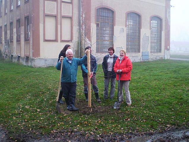 Stromy na Háji sázel i starosta Klopiny a Jan Saksa a manažerka Mikroregionu Mohelnicko Vlasta Miketová