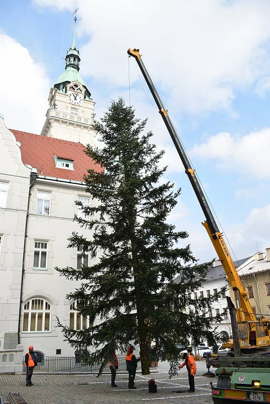 Kácení, převoz a usazování vánočního stromu v Šumperku.