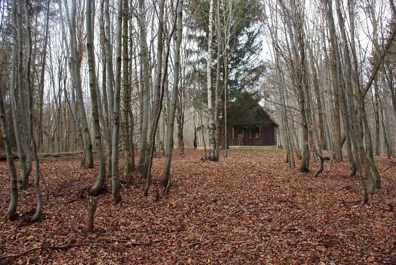 Lovecká chata Hanačka na vrcholu Skály v okolí přírodní rezervace Skály